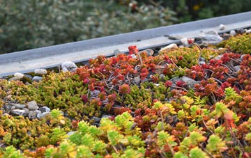 the cost of Mathry green roof installation