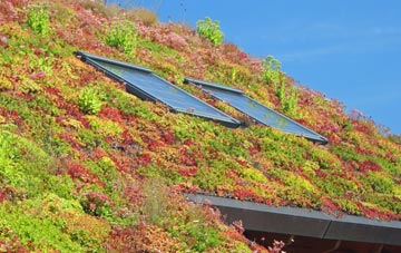 Mathry living roof systems