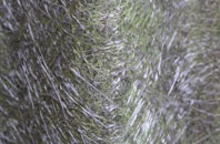 Mathry fibreglass roof work